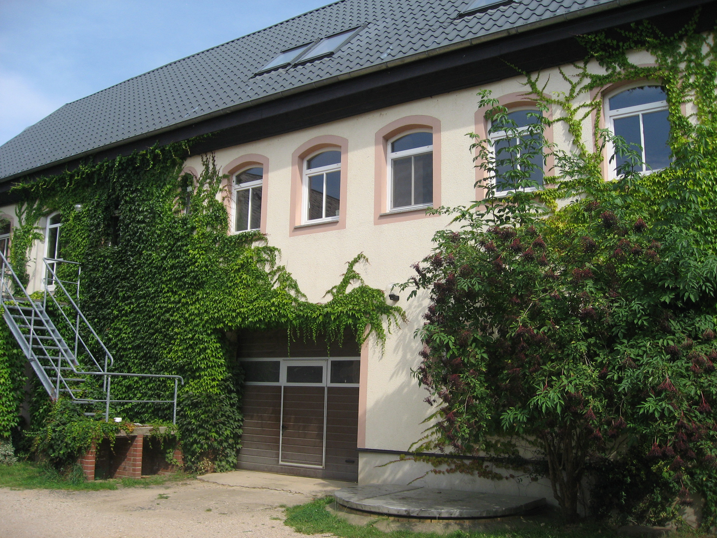 zweistöckiges Haus mit Garagentor im Erdgeschoss und durch Kletterpflanzen bewachsene Hauswände